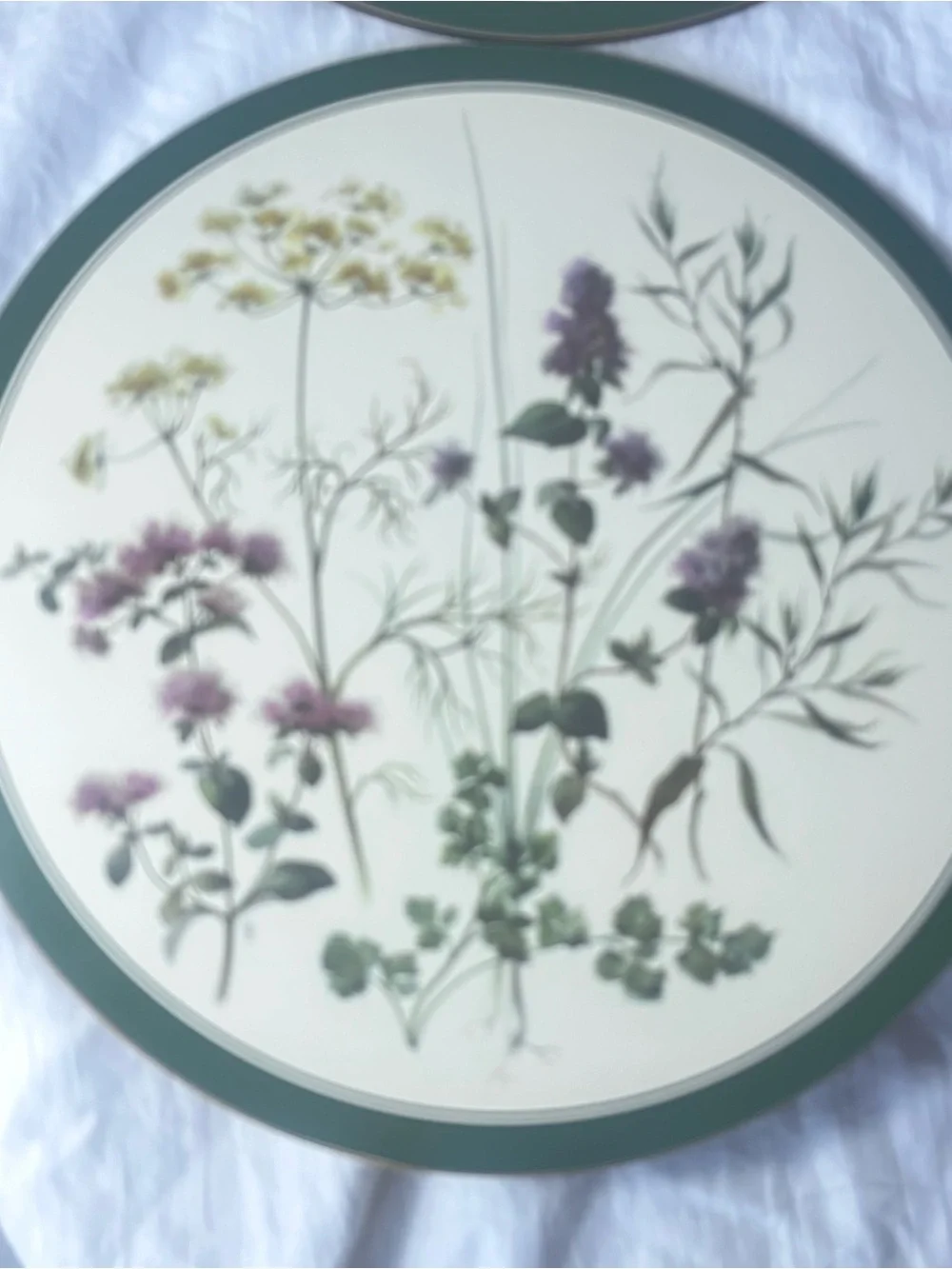 Vintage Cottagecore English Life Botanical Wildflower Placemats Set of 6